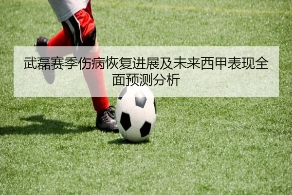 武磊赛季伤病恢复进展及未来西甲表现全面预测分析（IM SPORTS）